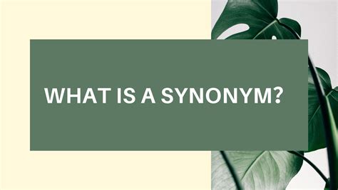 synonyms 意味|シノニム 意味.